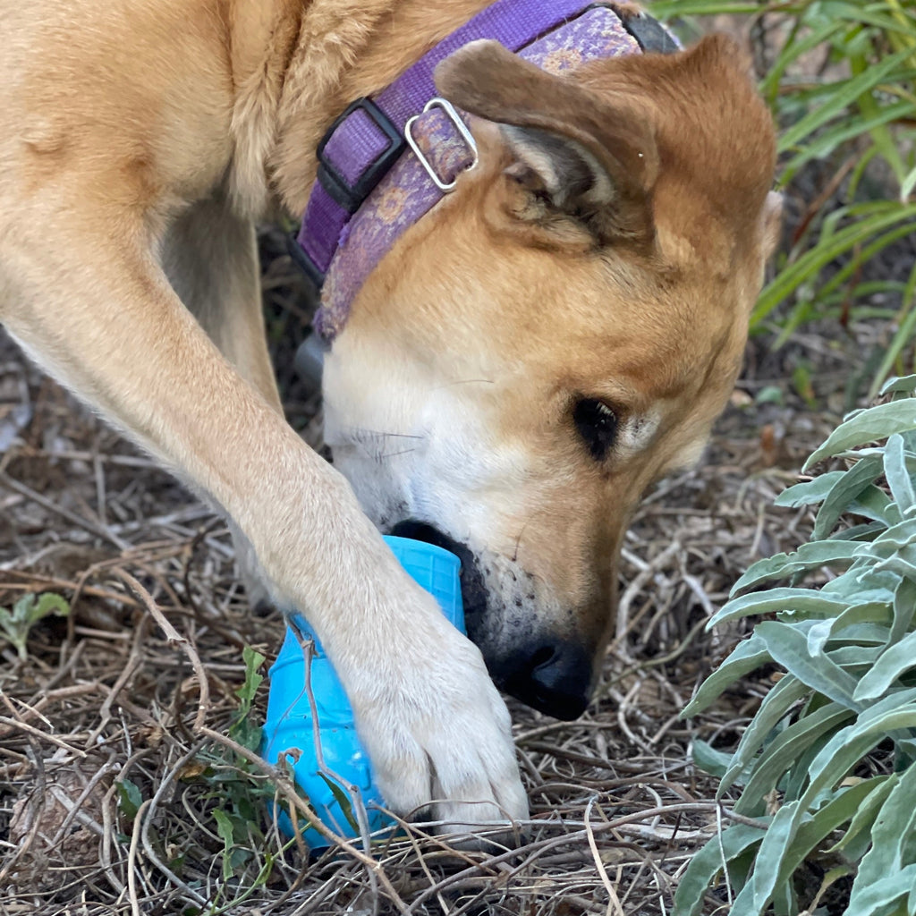 Ice Cream Cone Rubber Treat Toy for Dogs