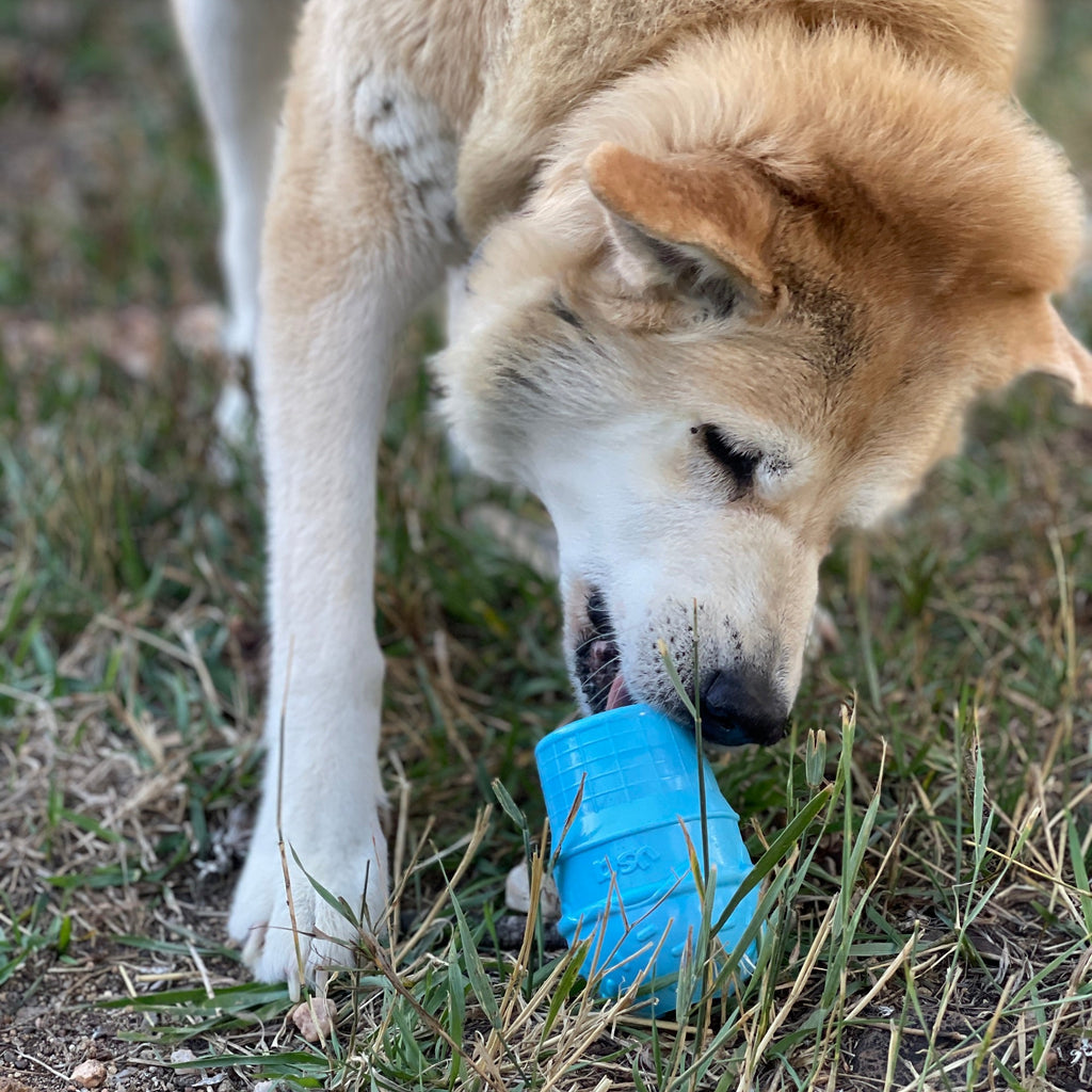 Ice Cream Cone Rubber Treat Toy for Dogs