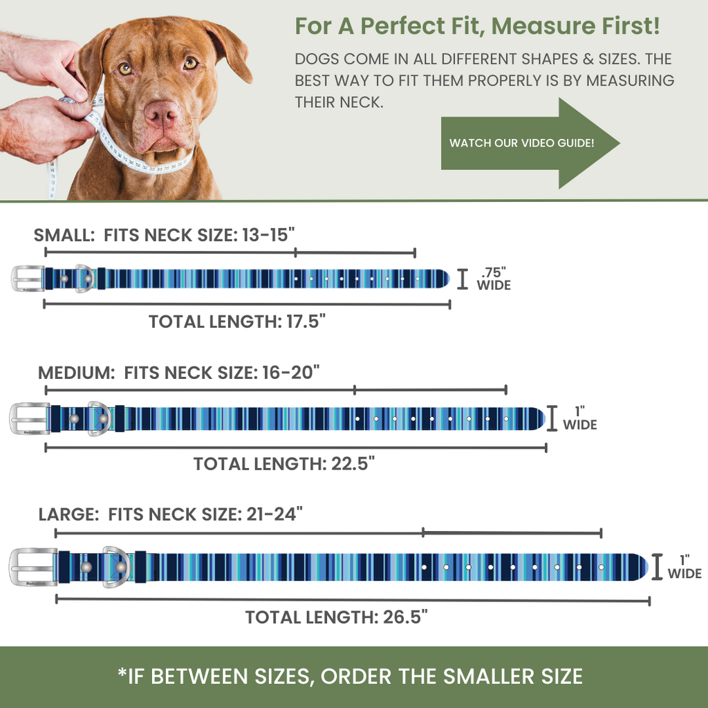 Waterproof, Washable Dog Collar