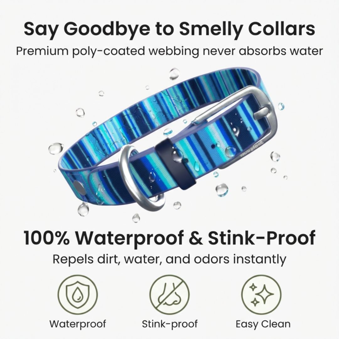Waterproof, Washable Dog Collar