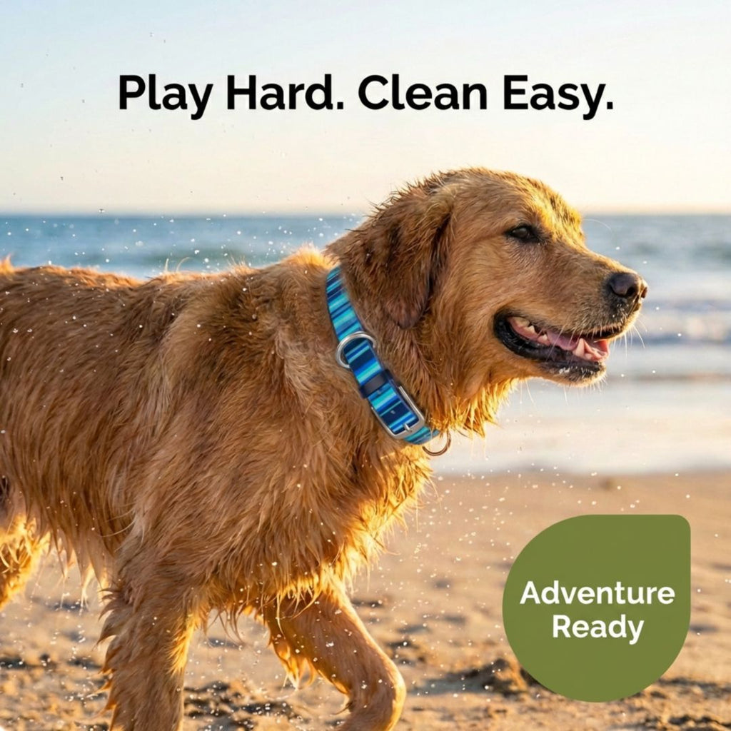 Waterproof, Washable Dog Collar