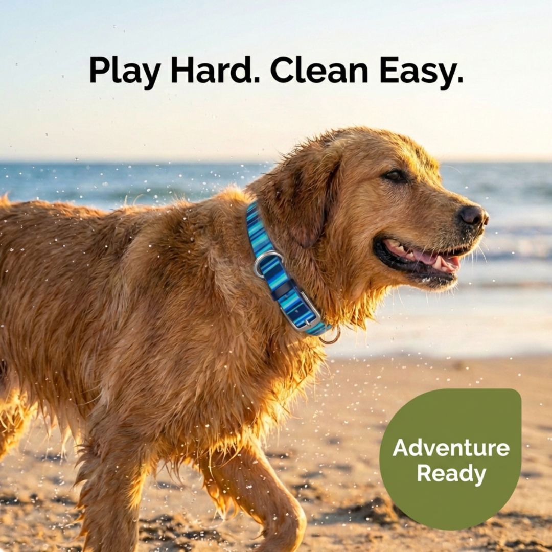Waterproof, Washable Dog Collar