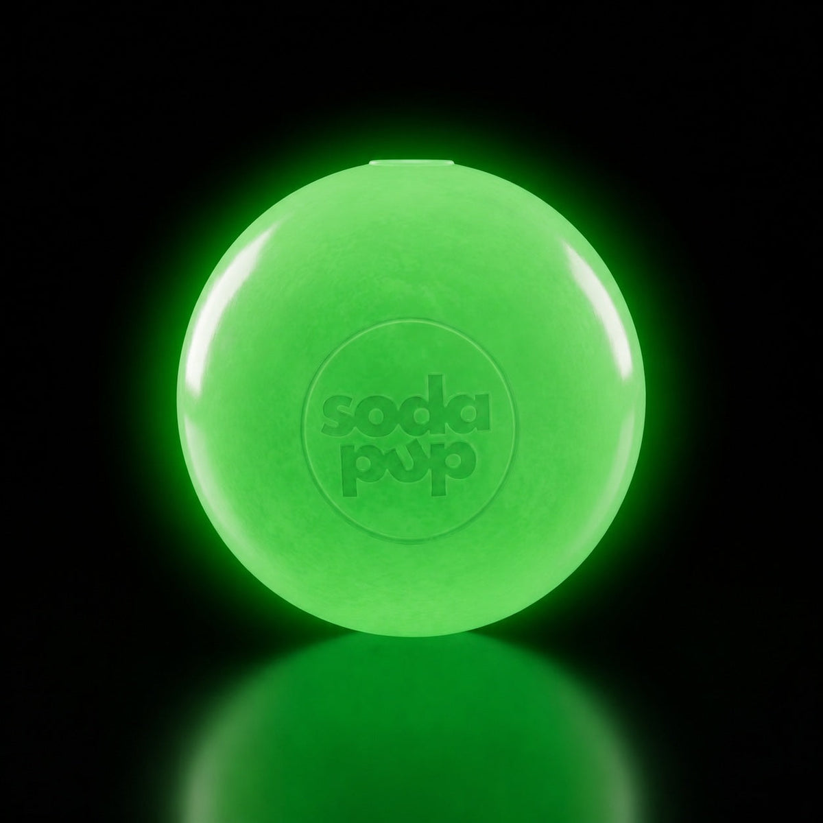 Squeak Ball – Floating Rubber Dog Toy