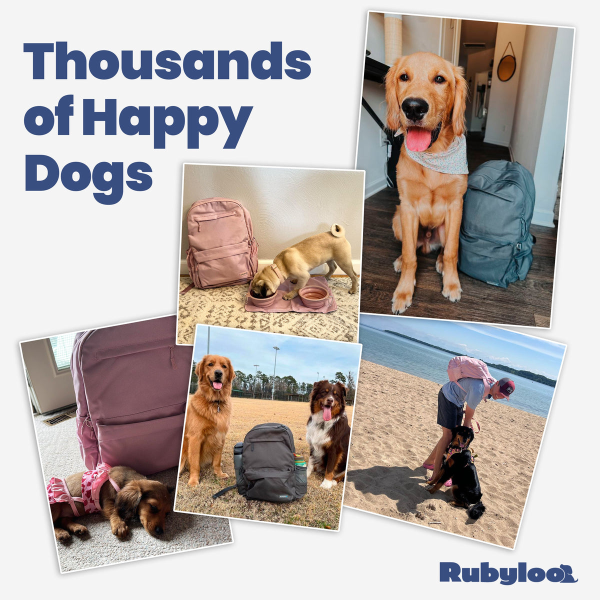 Hands-Free Dog Travel Backpack with Bowls
