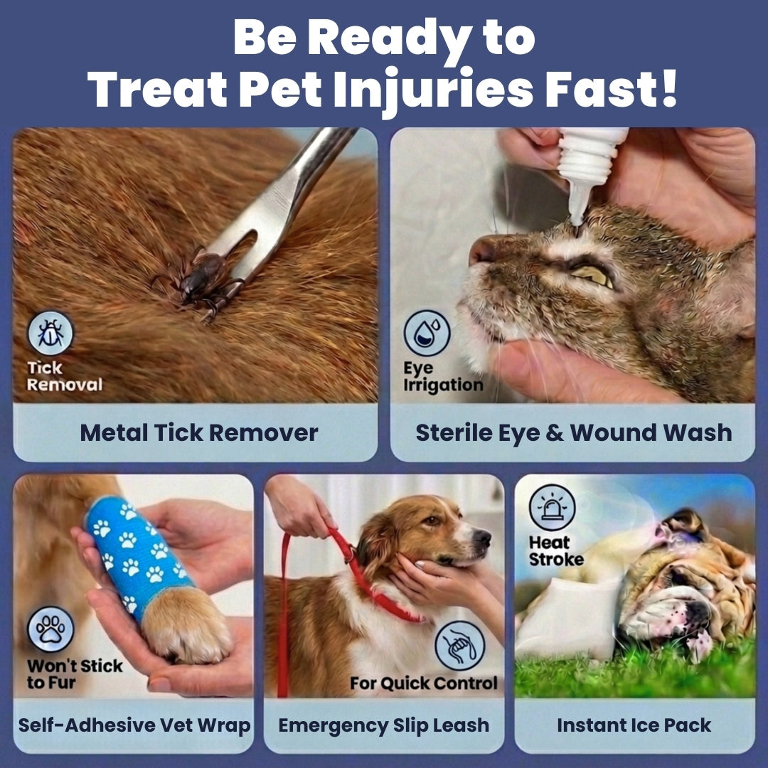 Portable Pet First Aid Kit for Dogs & Cats