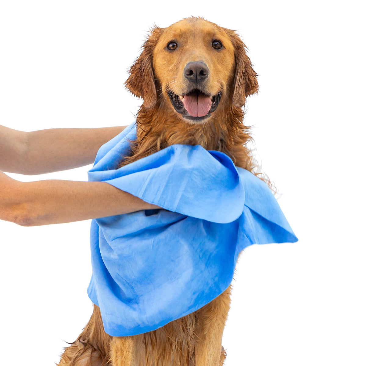 Quick-dry dog shammy towel for wet coats and paws