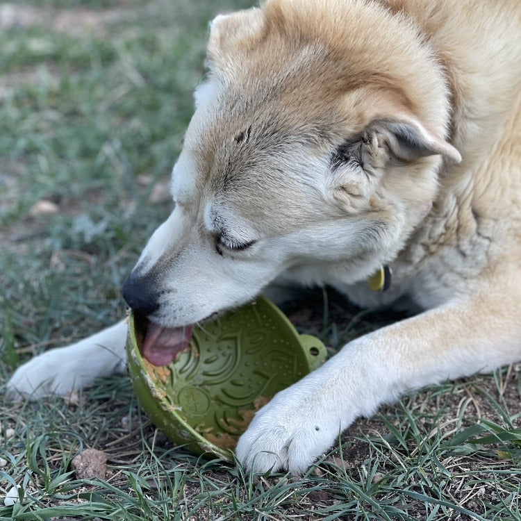 Garden of Eatin’ Wobble Lick Mat for Dogs & Cats