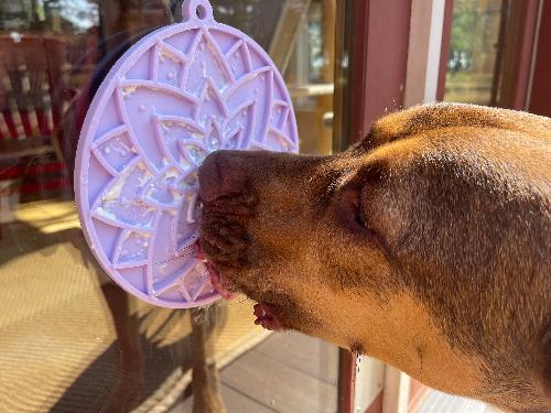 Lotus Suction-Cup Lick Mat for Dogs & Cats