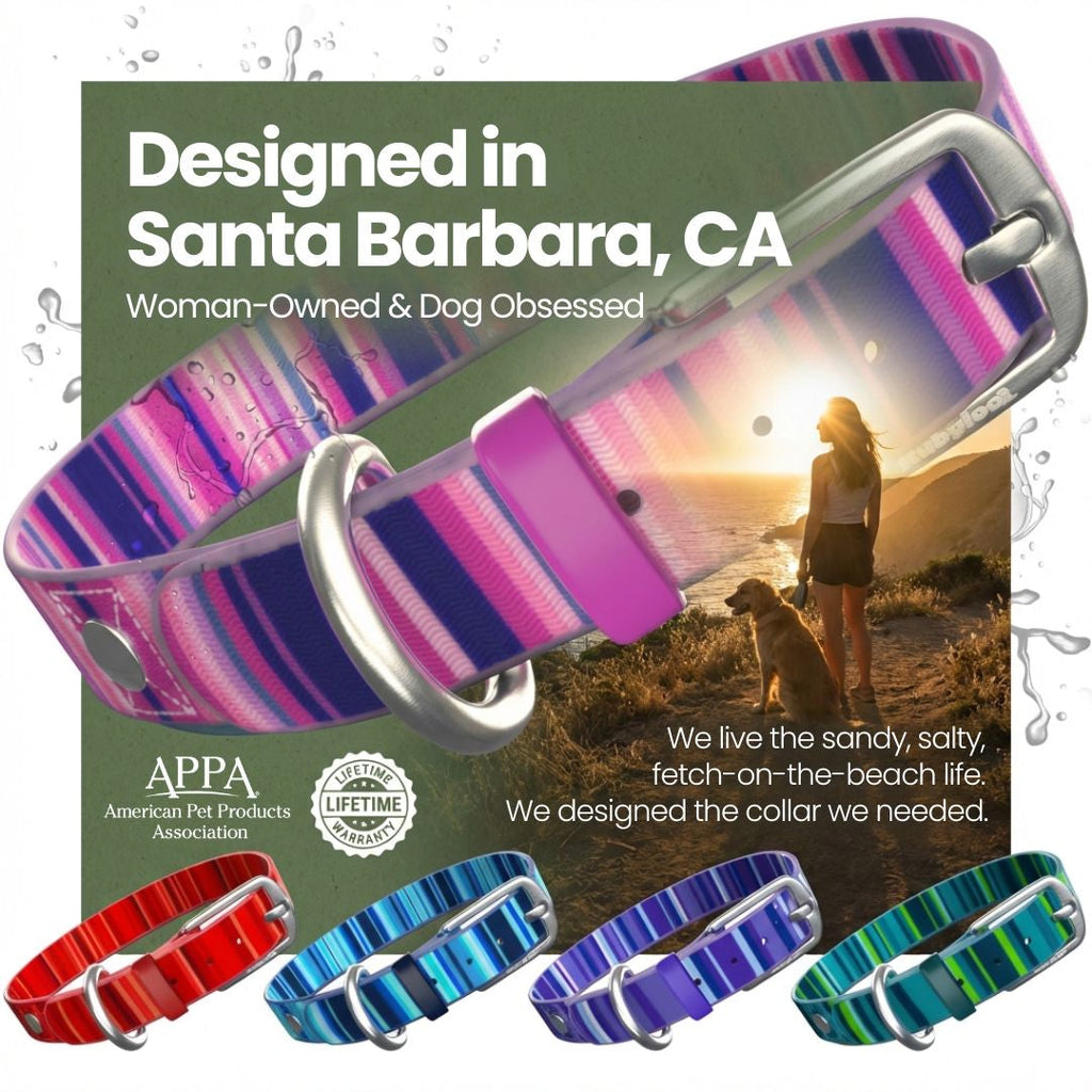 Waterproof, Washable Dog Collar