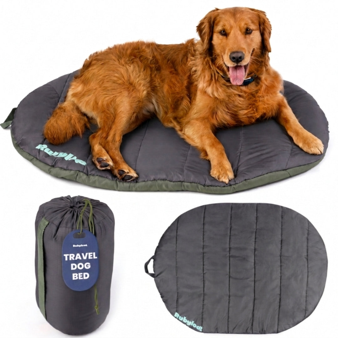 Packable Travel Dog Bed for Camping & Road Trips