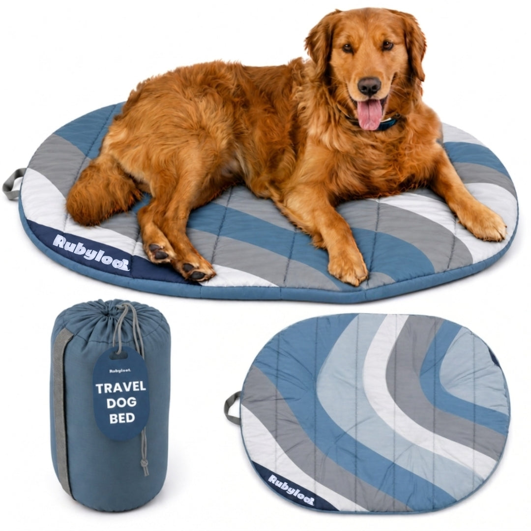 Packable Travel Dog Bed for Camping & Road Trips