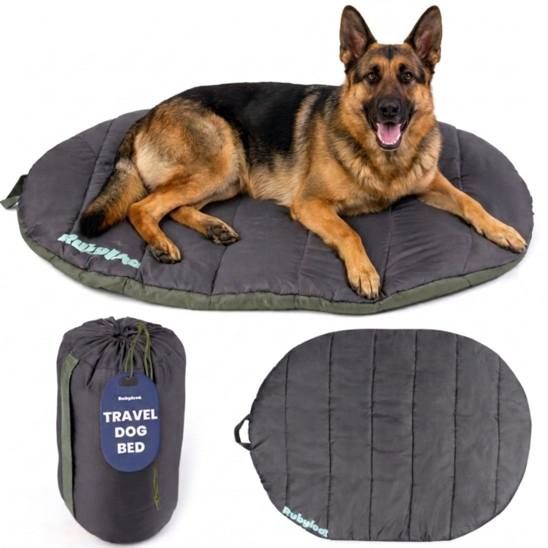 Packable Travel Dog Bed for Camping & Road Trips