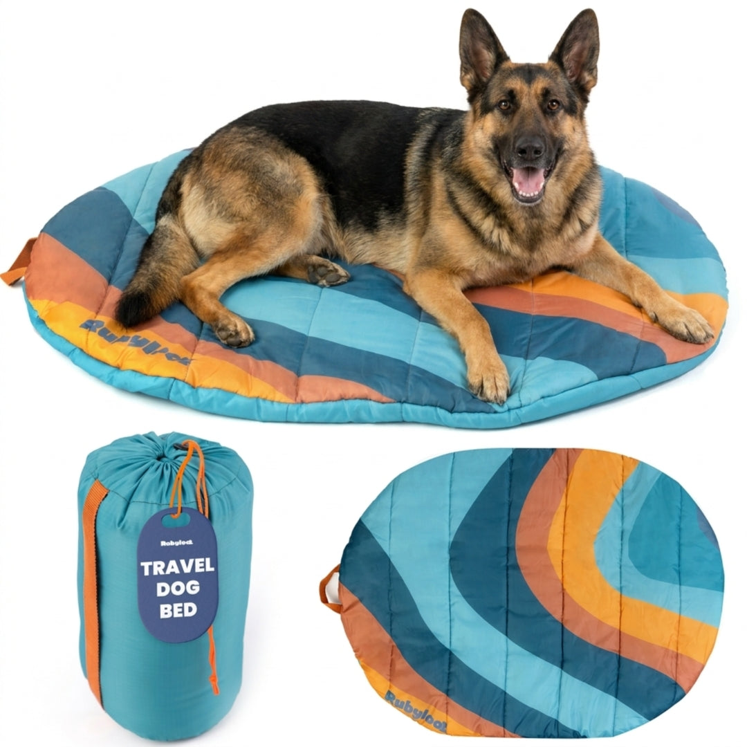 Packable Travel Dog Bed for Camping & Road Trips