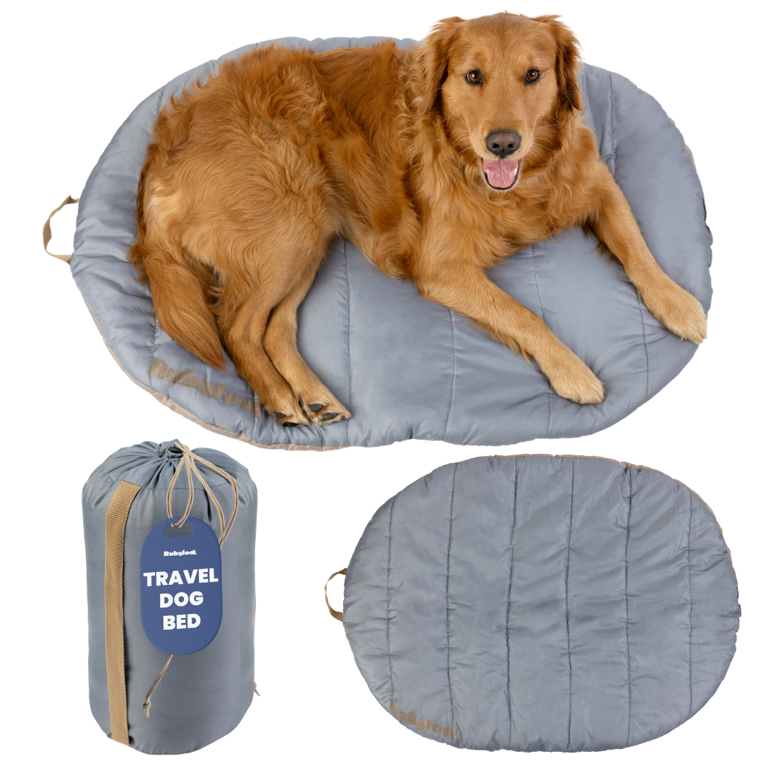 Packable Travel Dog Bed for Camping & Road Trips