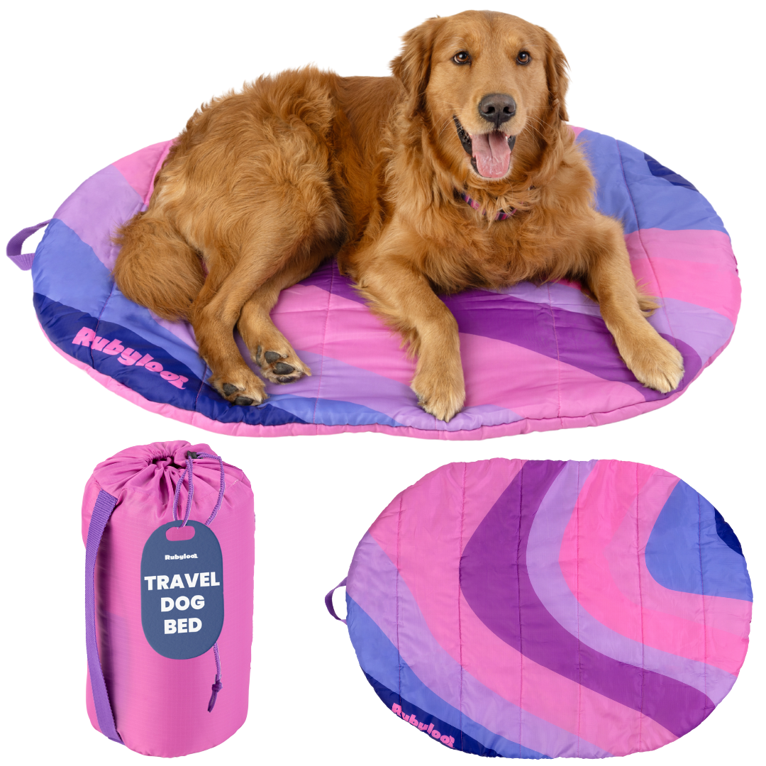 Packable Travel Dog Bed for Camping & Road Trips