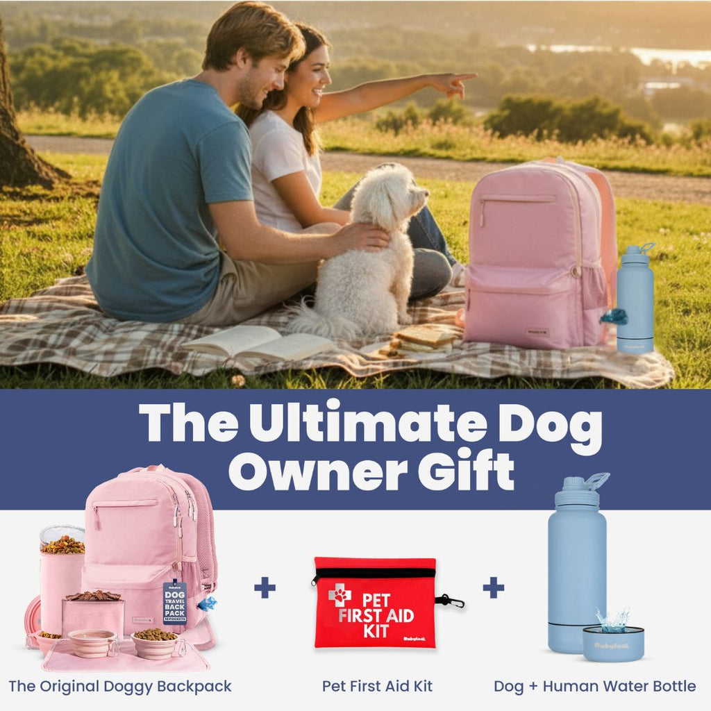 Hands-Free Dog Travel Backpack with Bowls