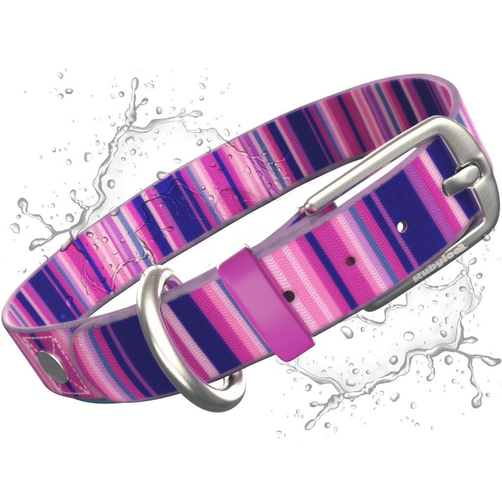 Waterproof, Washable Dog Collar