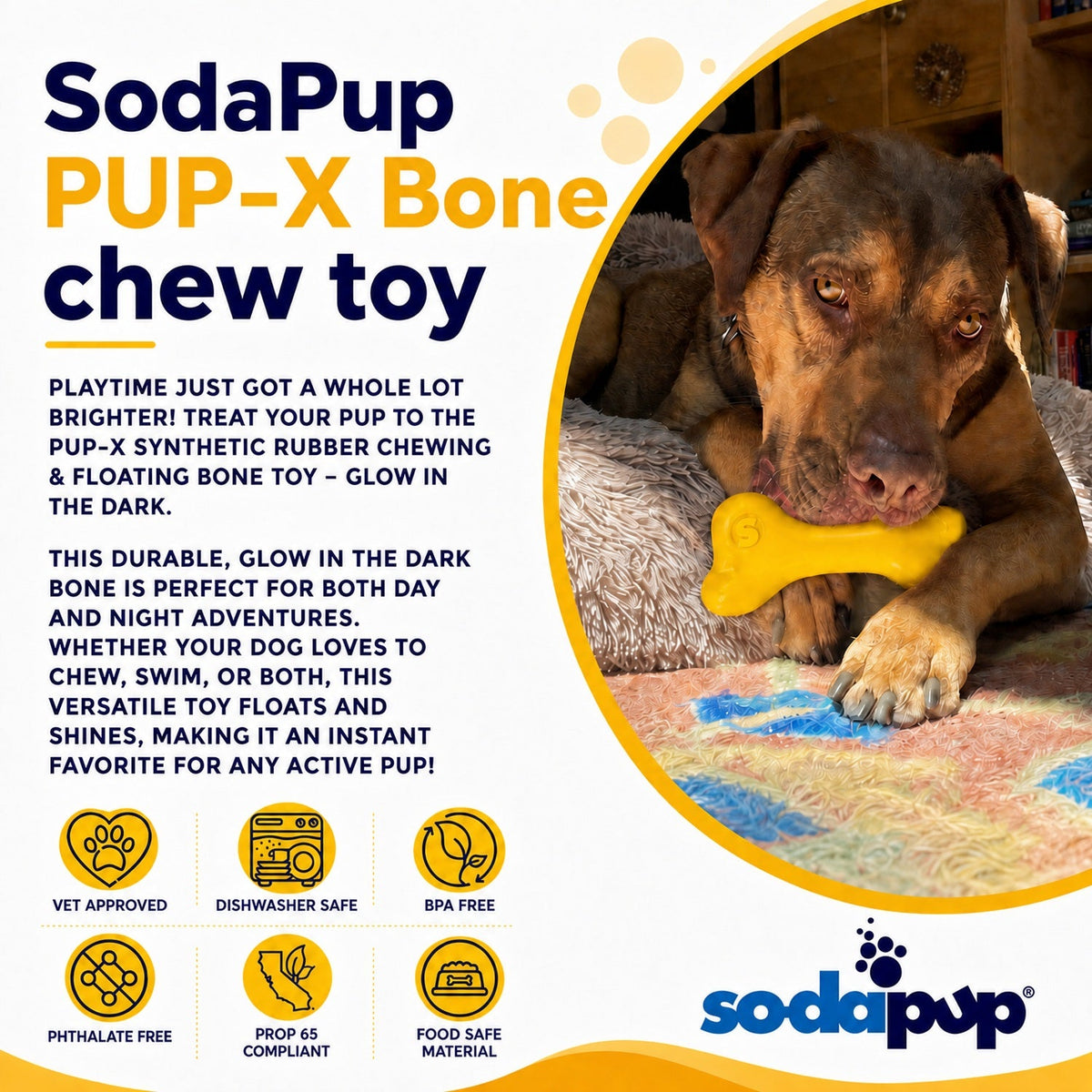 PUP-X Floating Rubber Bone Dog Toy