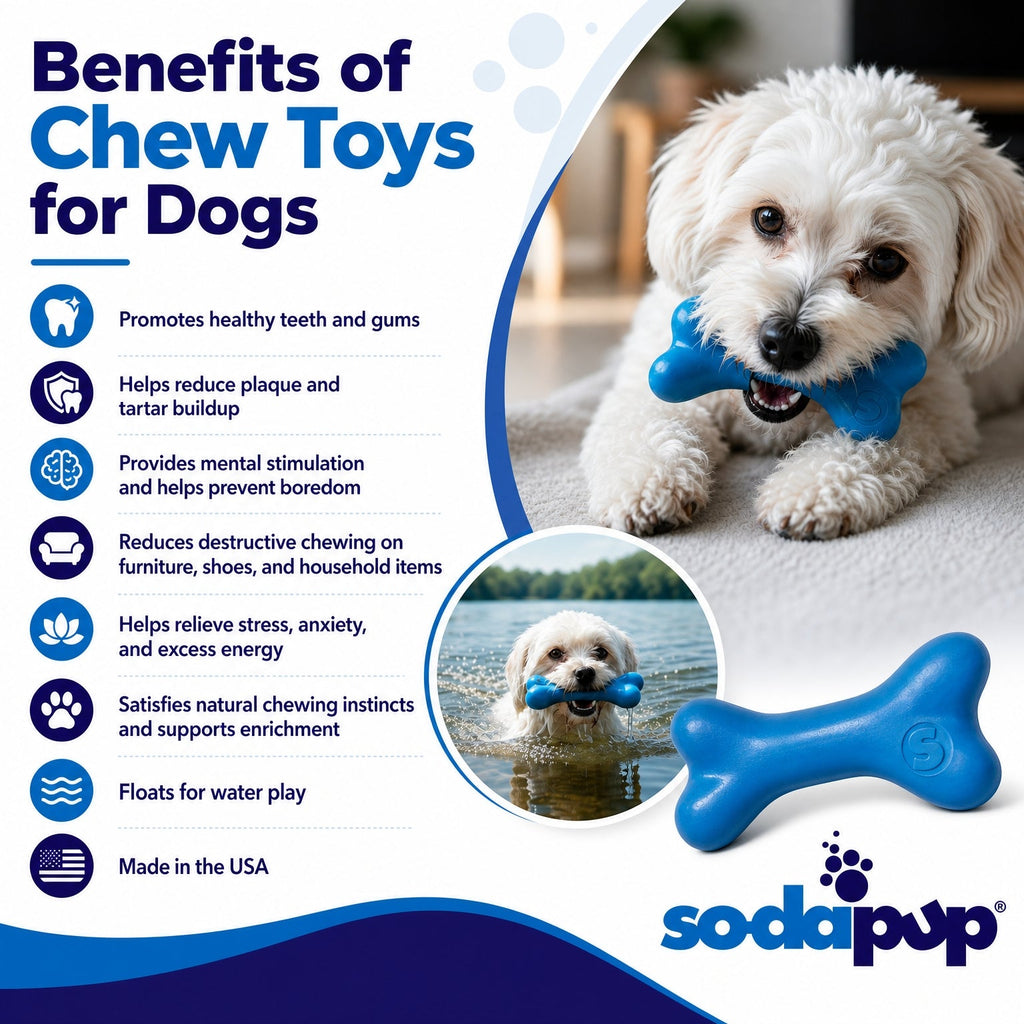PUP-X Floating Rubber Bone Dog Toy