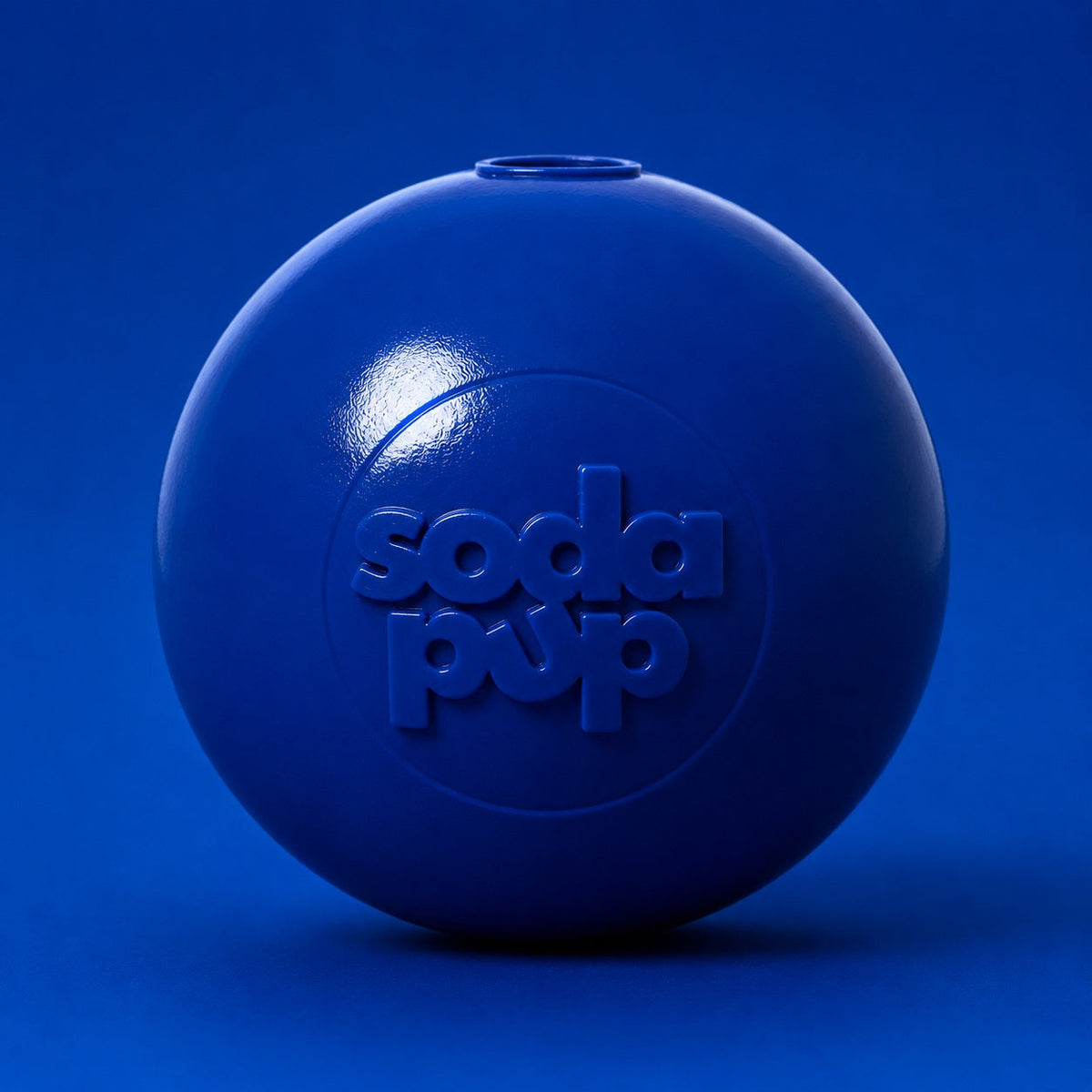 Squeak Ball – Floating Rubber Dog Toy