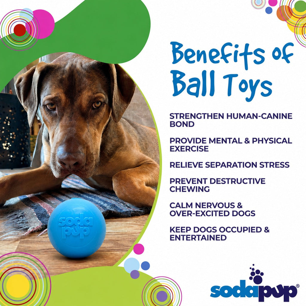 Squeak Ball – Floating Rubber Dog Toy