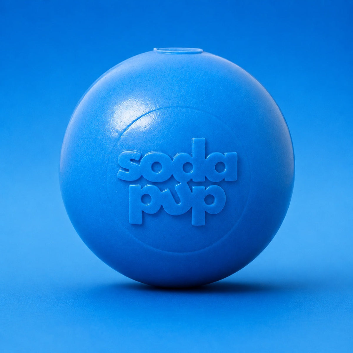 Squeak Ball – Floating Rubber Dog Toy