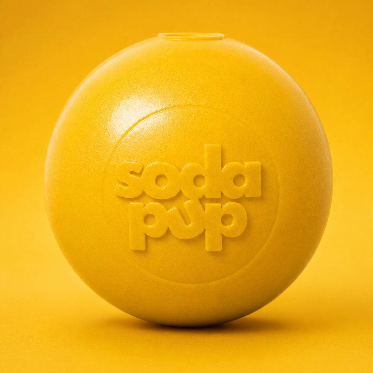 Squeak Ball – Floating Rubber Dog Toy