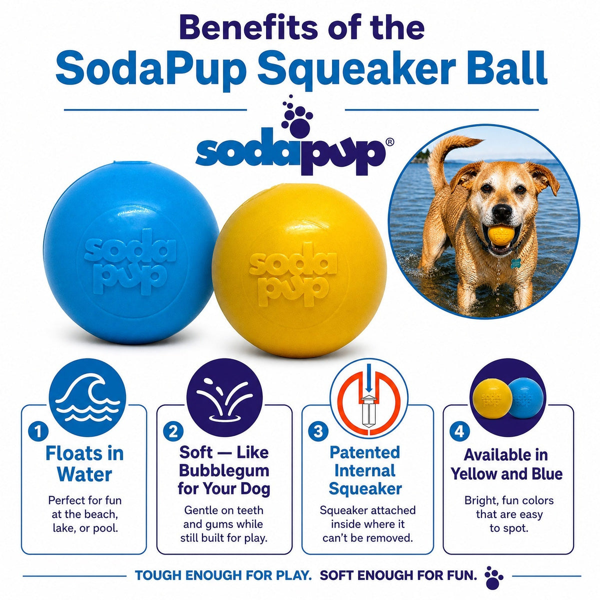 Squeak Ball – Floating Rubber Dog Toy