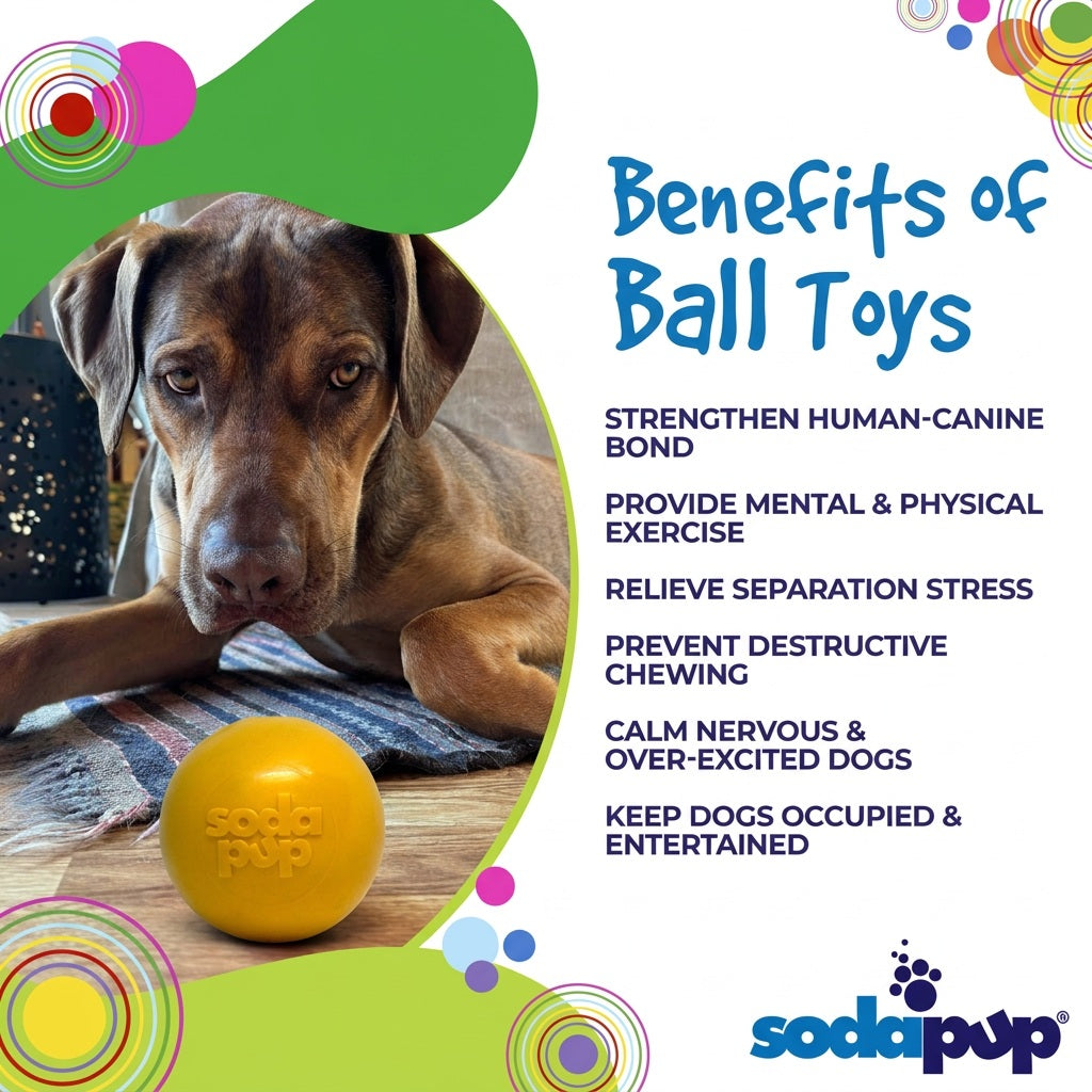 Squeak Ball – Floating Rubber Dog Toy