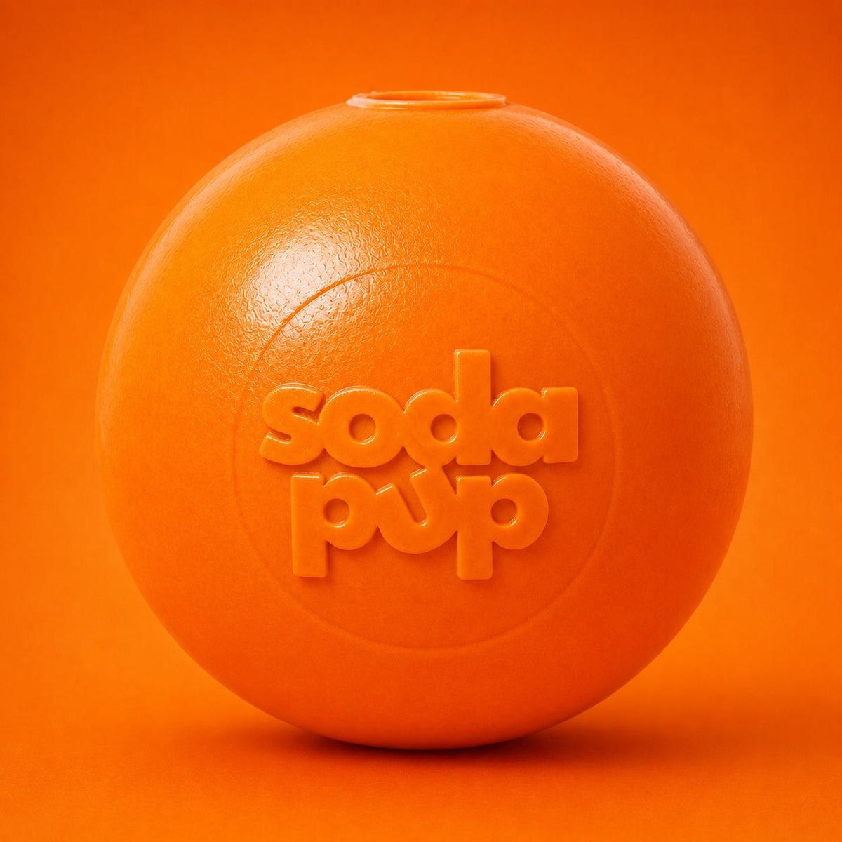 Squeak Ball – Floating Rubber Dog Toy