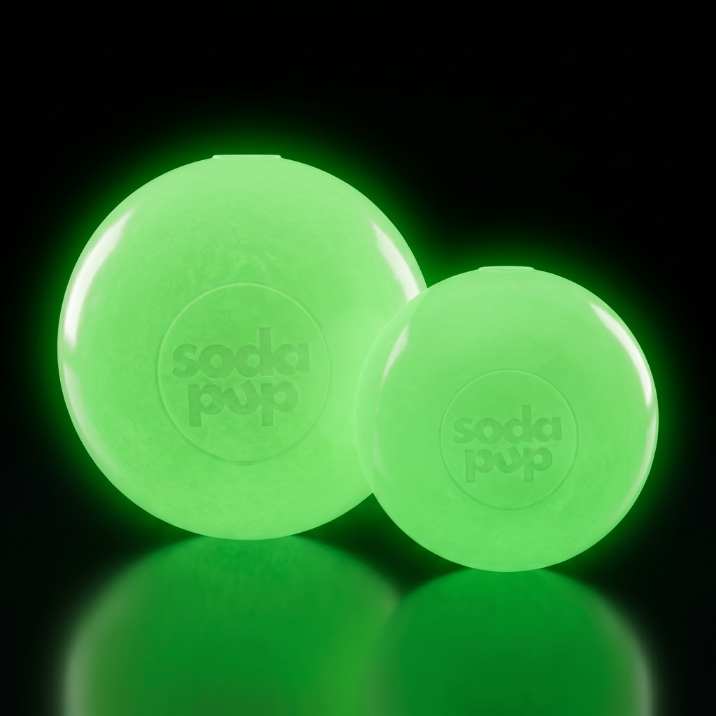 Squeak Ball – Floating Rubber Dog Toy